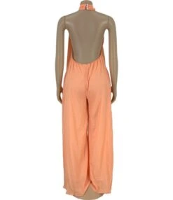 Backless Solid Color Wide-leg Mesh Halter Jumpsuit -NIKA Clothing Shop 201127121 1