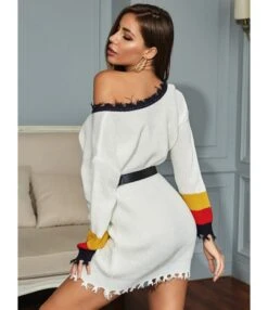 Colorblock V-neck Fringe Trim Loose Sweater Dress 210730738 -NIKA Clothing Shop 210730738 2