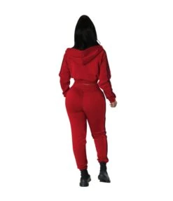 Solid Color Hooded Jacket & Trousers Casual Tracksuits Wholesale Women'S 2 Piece Sets SON537736 -NIKA Clothing Shop 3a45d8b1 bc9d 405a 8337 efb54e823997 7602d373b0abafcb338519dba966f365