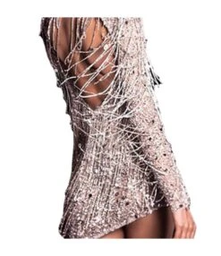 Sexy Sequins Backless Tassel High Neck Long Sleeve Mini Dresses Wholesale Dresses N5923081800025 -NIKA Clothing Shop O1CN01NOHJzo1Bs2hPB4WwB 0 0 cib