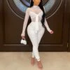 Sexy Mesh Body-con Nightclub Wholesale Womens Jumpsuits SJ95424